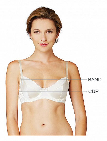 Bra Fit Guide